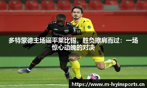 绿茵体育