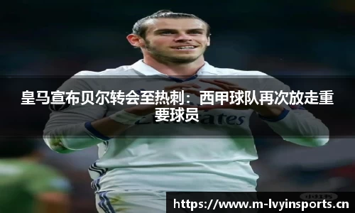 绿茵体育平台