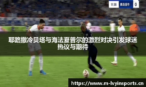 绿茵体育