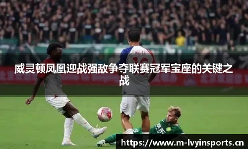 威灵顿凤凰迎战强敌争夺联赛冠军宝座的关键之战